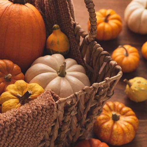 courge